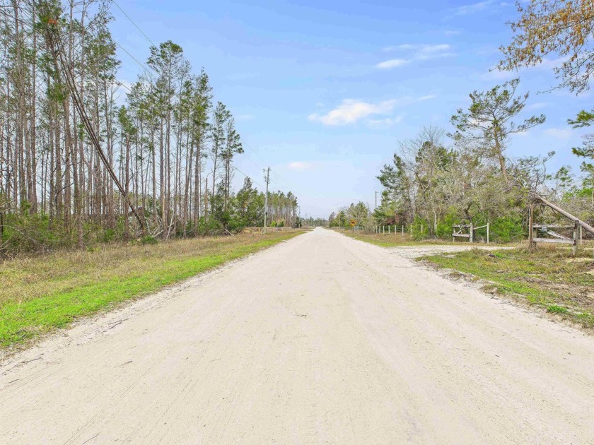 Invest in your future with this versatile 2.02-acre property in - Beach Acreage for sale in Keaton Beach, Florida on Beachhouse.com