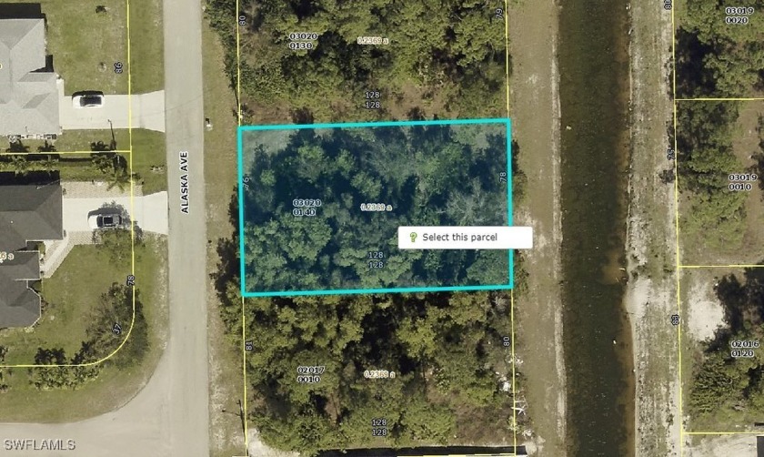 Quiet road secluded high and dry Lehigh lot to build your new - Beach Lot for sale in Lehigh Acres, Florida on Beachhouse.com