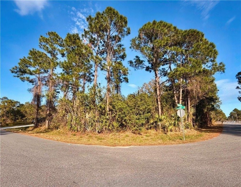 PRICED TO SELL!! OVERSIZED Corner Lot at Halcomb & Vanguard - Beach Lot for sale in Palm Bay, Florida on Beachhouse.com