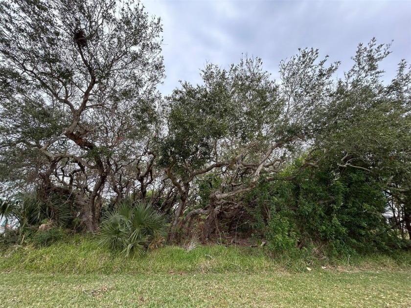 Discover your slice of paradise in Bethune Beach with one of the - Beach Lot for sale in New Smyrna Beach, Florida on Beachhouse.com