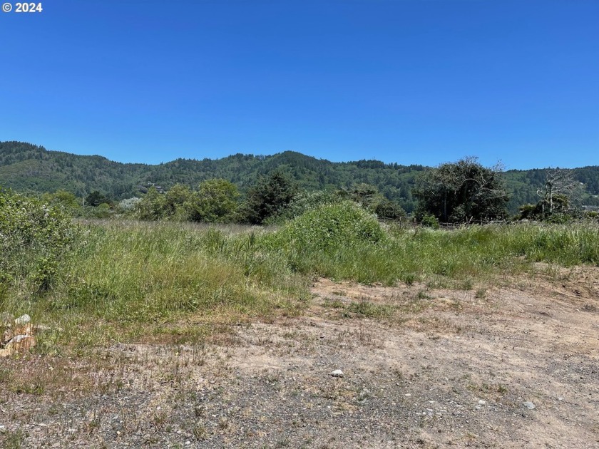 EXCELLENT DEVELOPMENT POTENTIAL WITH ENDLESS POSSIBILITIES!!! - Beach Lot for sale in Brookings, Oregon on Beachhouse.com