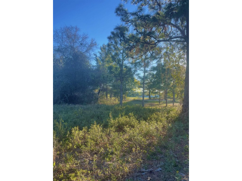 Desirable lot located on Royal Tern Way. Property is due east - Beach Lot for sale in Carabelle, Florida on Beachhouse.com