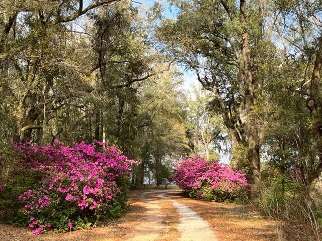 SINGLE FAMILY WATERFRONT DEVELOPMENT OPPORTUNITY in Northwest - Beach Acreage for sale in Milton, Florida on Beachhouse.com