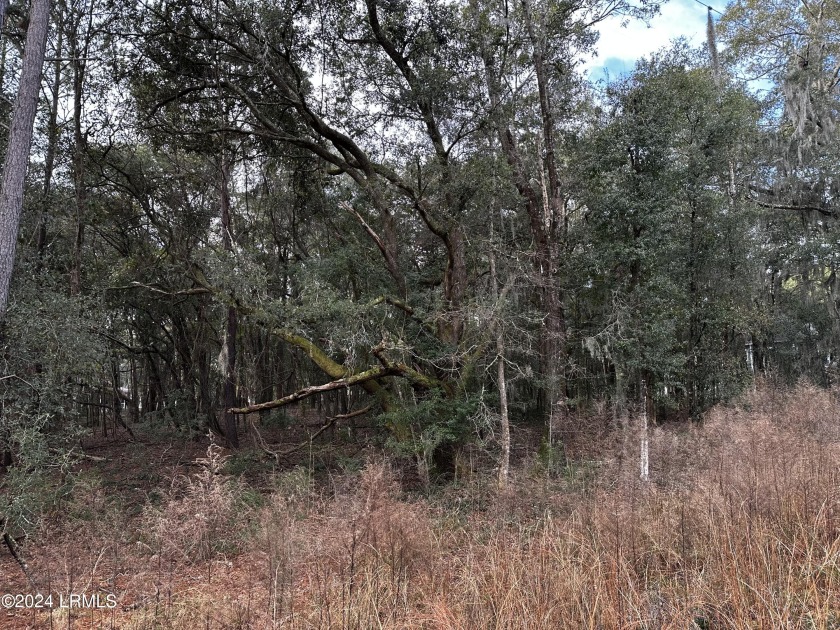 Discover serenity on this secluded wooded lot nestled in a - Beach Lot for sale in Beaufort, South Carolina on Beachhouse.com
