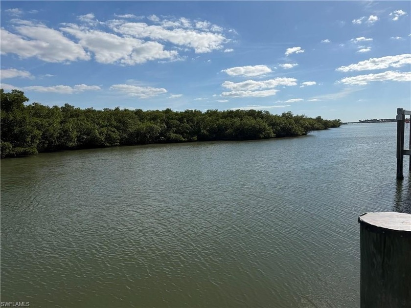 WATERFRONT LUXURY IN THE HEART OF NAPLES. This exceptional - Beach Home for sale in Naples, Florida on Beachhouse.com