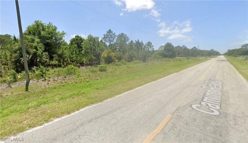 : PAVED ROAD! The trees are not very thick on the property, so - Beach Lot for sale in Clewiston, Florida on Beachhouse.com