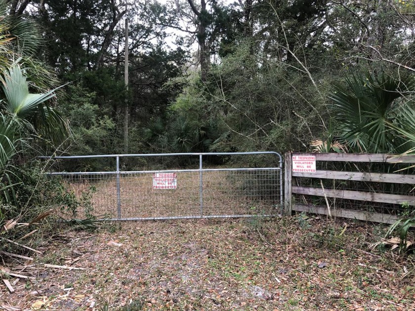 This 40 acre track of recreational property is tucked away off - Beach Acreage for sale in Horseshoe Beach, Florida on Beachhouse.com