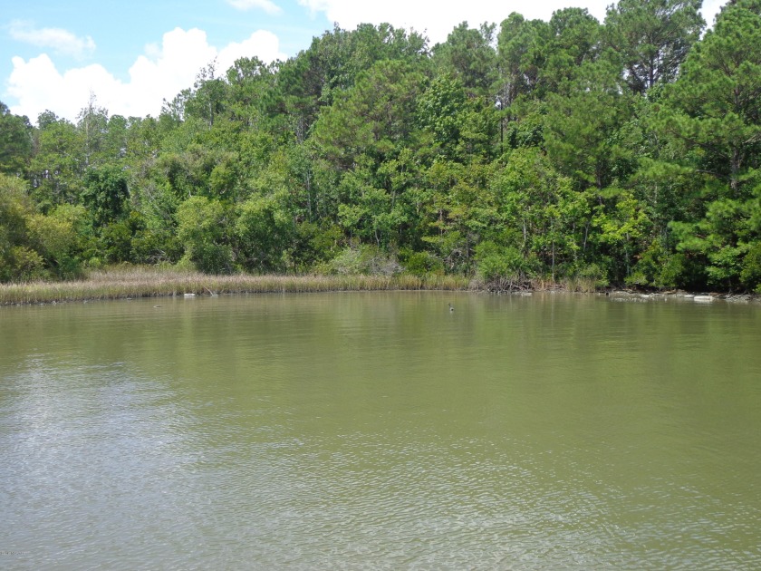 A rare 2.28 acre waterfront tract on Beacon Lane in the Sneads - Beach Acreage for sale in Sneads Ferry, North Carolina on Beachhouse.com