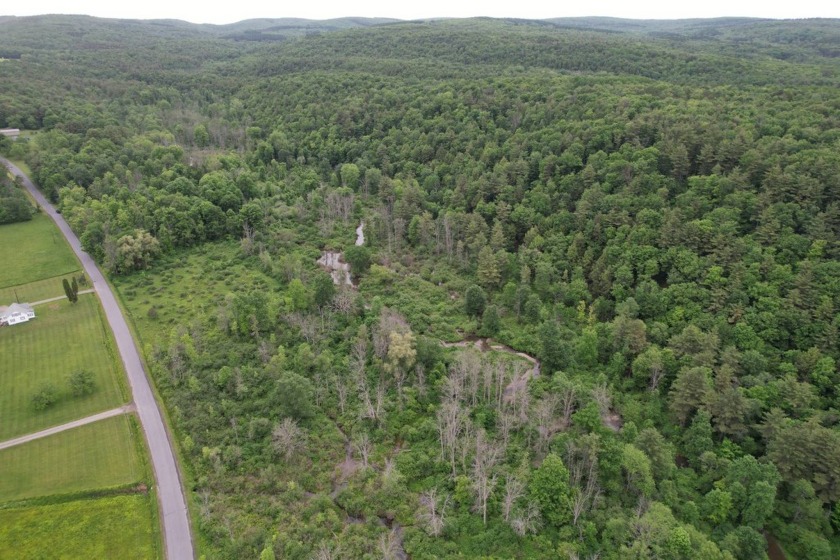 Welcome to a rare and remarkable 146.53-acre property located in - Beach Acreage for sale in Catharine, New York on Beachhouse.com