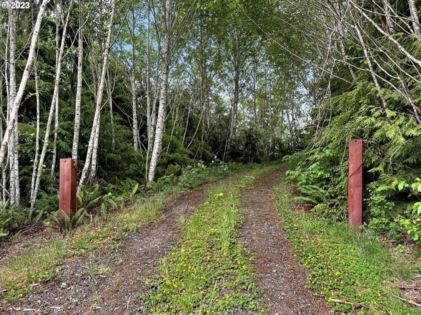 This 5.61 acre forested site has views of trees, neighboring - Beach Acreage for sale in Seaside, Oregon on Beachhouse.com