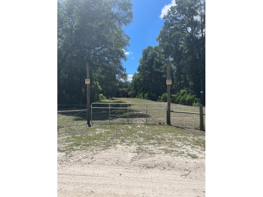Enjoy beautiful acreage in Dixie County where nature and - Beach Acreage for sale in Old Town, Florida on Beachhouse.com