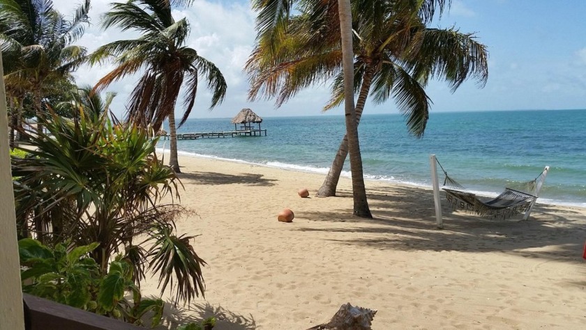 A rare opportunity to own a thriving, oceanfront long-term - Beach Home for sale in Hopkins,  on Beachhouse.com