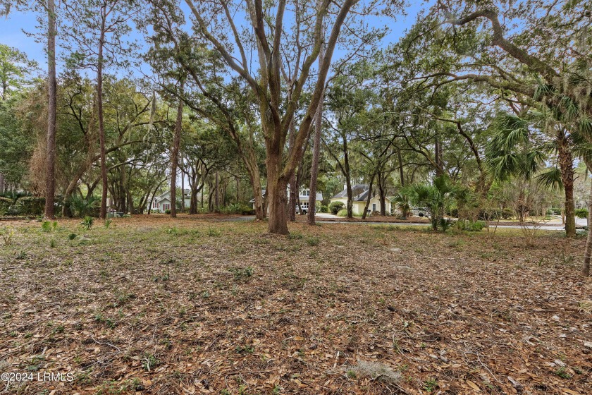 Discover the epitome of coastal living on this beautiful lot - Beach Lot for sale in Dataw Island, South Carolina on Beachhouse.com