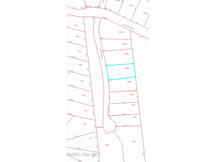 Build your Coastal Dream Home. It is in a gated community - - Beach Lot for sale in Havelock, North Carolina on Beachhouse.com