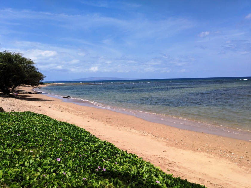 Beautiful 1 BR, 2 BA Ocean View Condo - Beach Vacation Rentals in Kihei, Hawaii on Beachhouse.com
