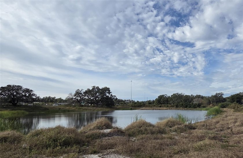Prime Residential / Agricultural  parcel with I-4 Frontage - Beach Acreage for sale in Tampa, Florida on Beachhouse.com