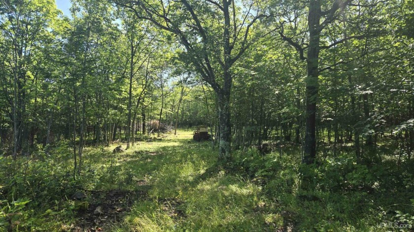 Beautiful wooded 10-acre parcel for sale. This would make a - Beach Acreage for sale in Mohawk, Michigan on Beachhouse.com