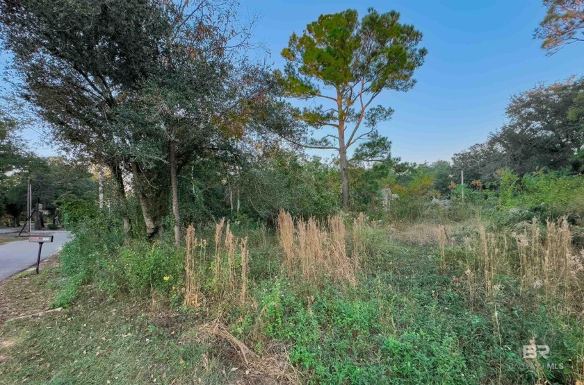 This large corner lot is situated in one of the most desirable - Beach Lot for sale in Orange Beach, Alabama on Beachhouse.com