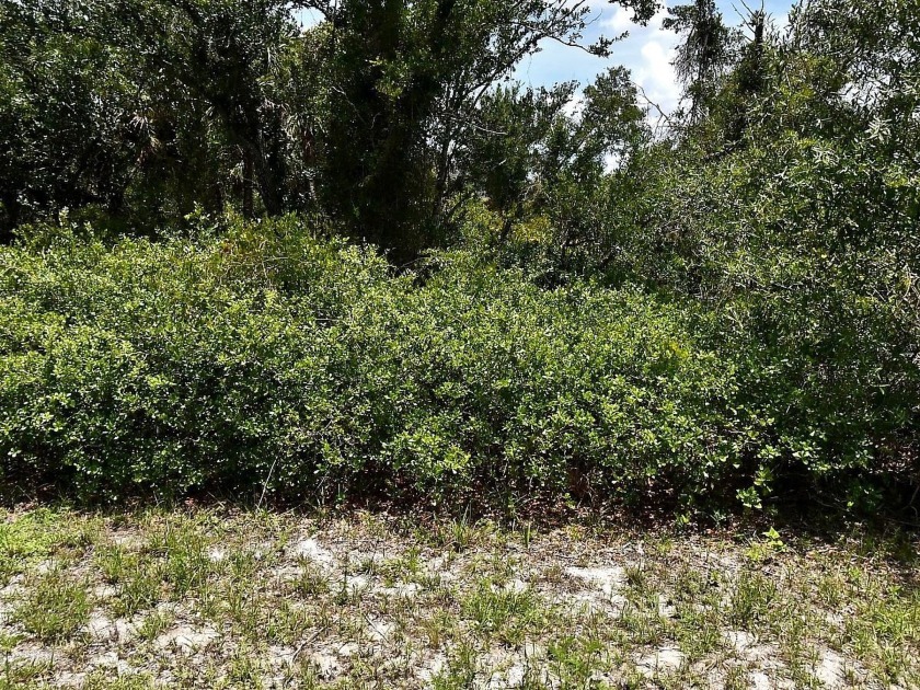 Seize the rare opportunity to build your custom home on this - Beach Lot for sale in North Port, Florida on Beachhouse.com