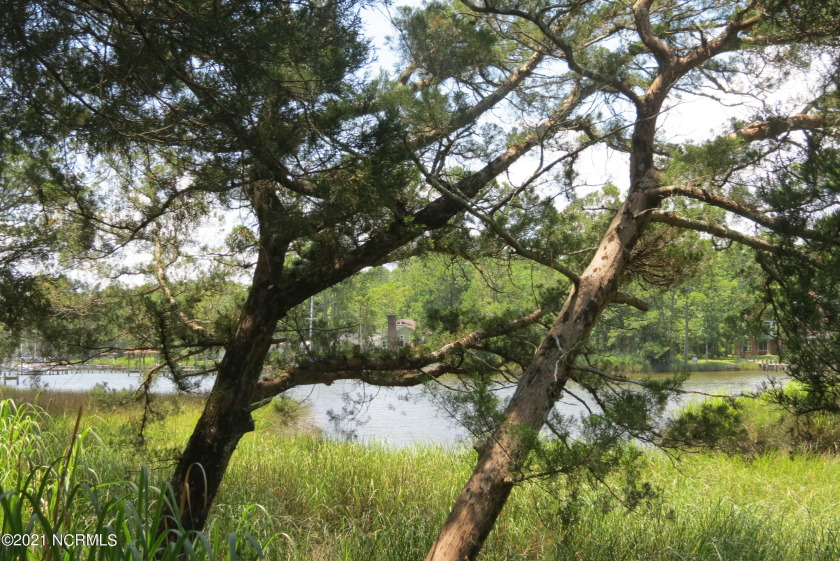 A lovely, lushly wooded waterfront homesite on the banks of - Beach Lot for sale in Oriental, North Carolina on Beachhouse.com