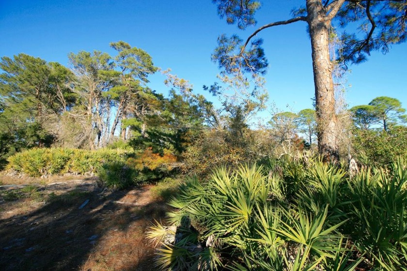 Wow!  What an excellent opportunity to snag nearly an acre of - Beach Lot for sale in Cedar Key, Florida on Beachhouse.com