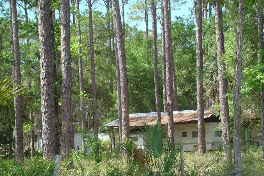 One of a Kind that will not last long with well, septic and - Beach Acreage for sale in Horseshoe Beach, Florida on Beachhouse.com