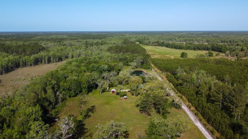 Rare opportunity to own 646 remote acres with a 4 bedroom 2 bath - Beach Home for sale in Old Town, Florida on Beachhouse.com