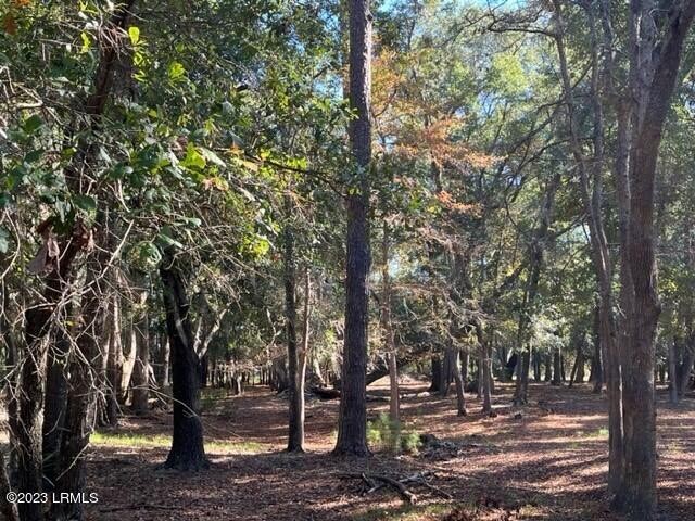 Come check out this great residential lot in the heart of - Beach Lot for sale in Beaufort, South Carolina on Beachhouse.com