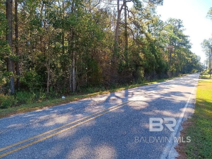 Who is looking for raw land in South Foley Alabama? This would - Beach Acreage for sale in Foley, Alabama on Beachhouse.com