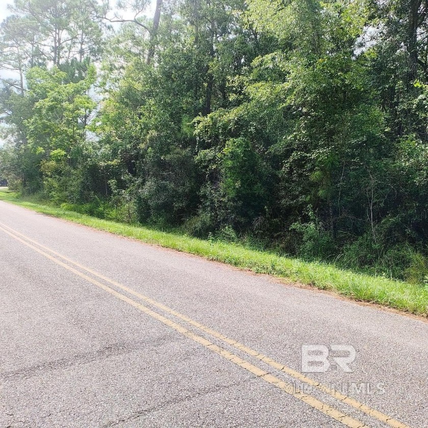 Awesome location to build your forever home in Eastern Baldwin - Beach Lot for sale in Lillian, Alabama on Beachhouse.com