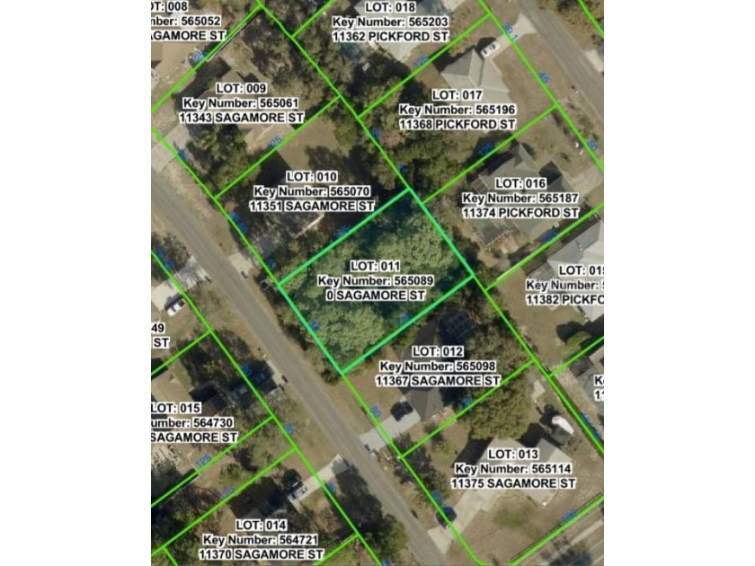 Build Your Dream Home in Sunny Spring Hill, Florida!  Discover - Beach Lot for sale in Spring Hill, Florida on Beachhouse.com