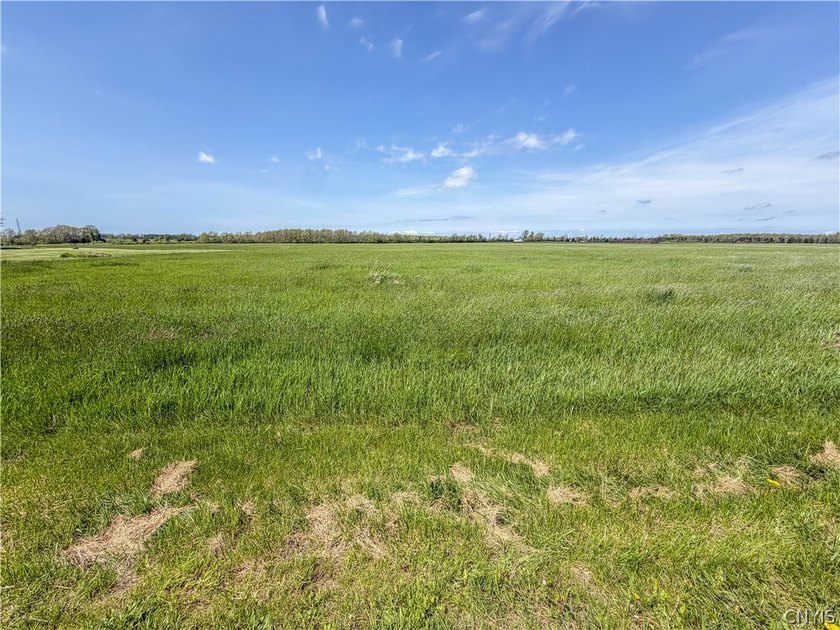 The search is over. Fantastic level building lot. Municipal - Beach Lot for sale in Chaumont, New York on Beachhouse.com