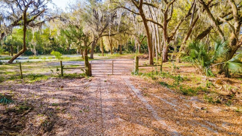 Discover your own slice of paradise in this pristine 3.40-acre - Beach Acreage for sale in Edgewater, Florida on Beachhouse.com