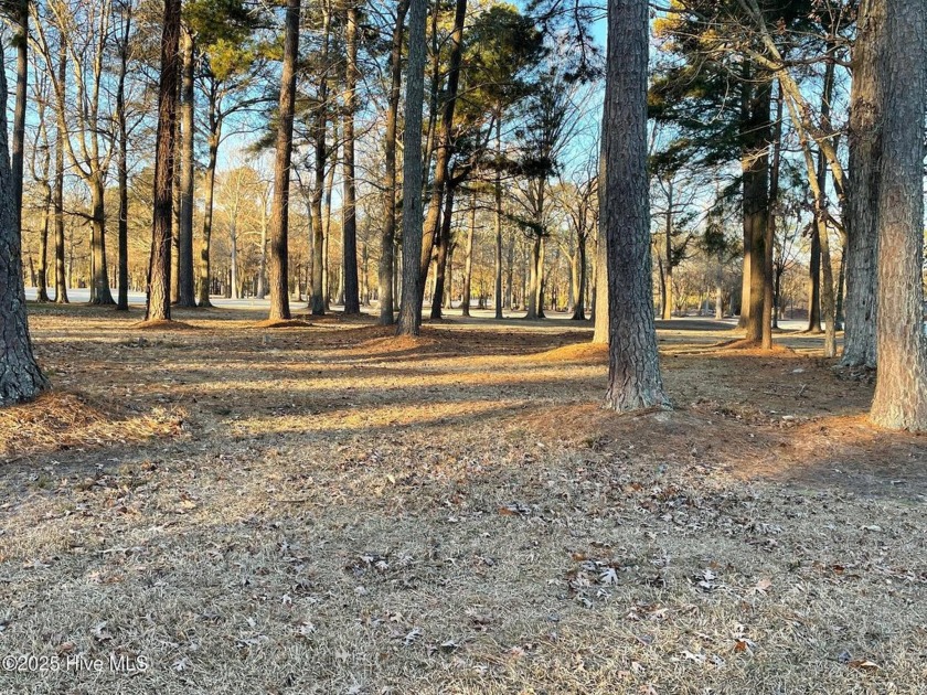 Great lot in Albemarle Plantation, located on the Golf Course - Beach Lot for sale in Hertford, North Carolina on Beachhouse.com