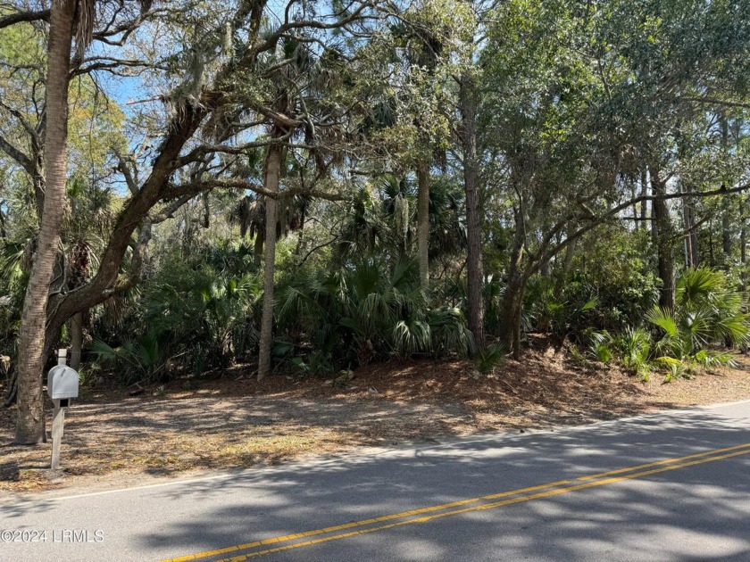 This beautiful 0.29 acre Fripp Island lot is waiting for you and - Beach Lot for sale in Fripp Island, South Carolina on Beachhouse.com