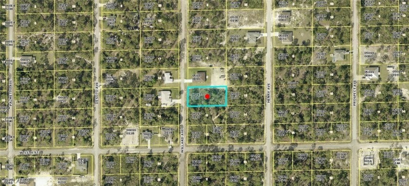 Excellent opportunity with a half acre lot in an area with new - Beach Lot for sale in Lehigh Acres, Florida on Beachhouse.com