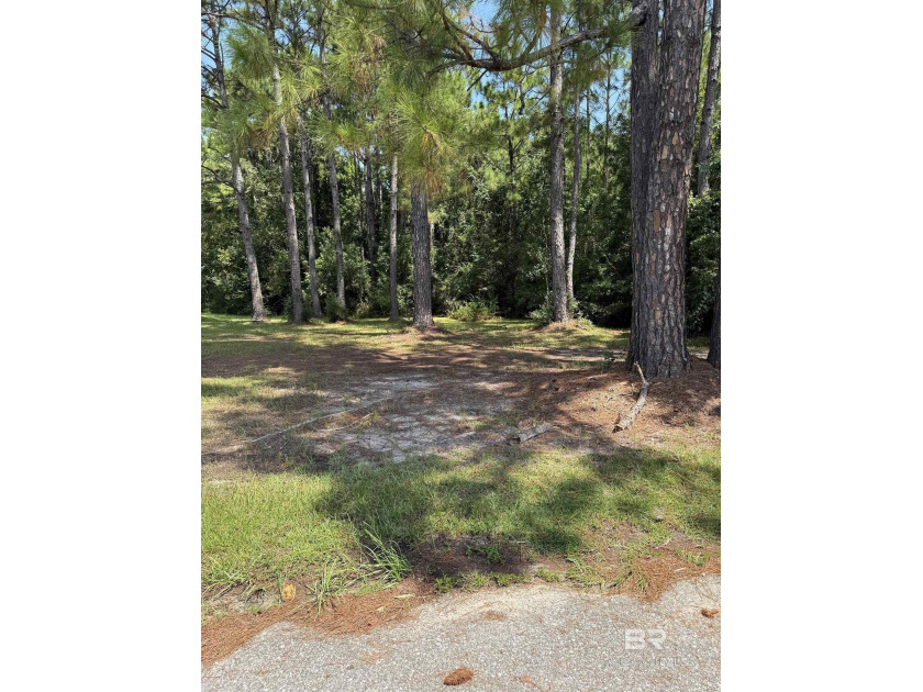 Possible owner financing available with down payment for - Beach Lot for sale in Elberta, Alabama on Beachhouse.com