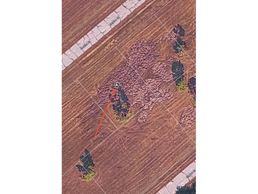 This lot not currently in Scrub Jay habitat per Charlotte County - Beach Lot for sale in Placida, Florida on Beachhouse.com