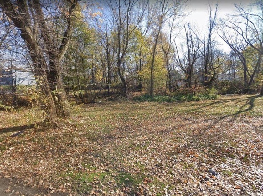 7 contiguous lots, all rezoned R-1, running from June Street to - Beach Lot for sale in Erie, Pennsylvania on Beachhouse.com