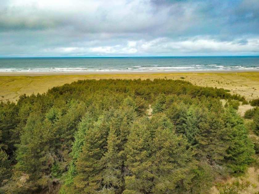 2.7 Acres of beach front property featuring 100ft span of water - Beach Home for sale in Ocean Park, Washington on Beachhouse.com