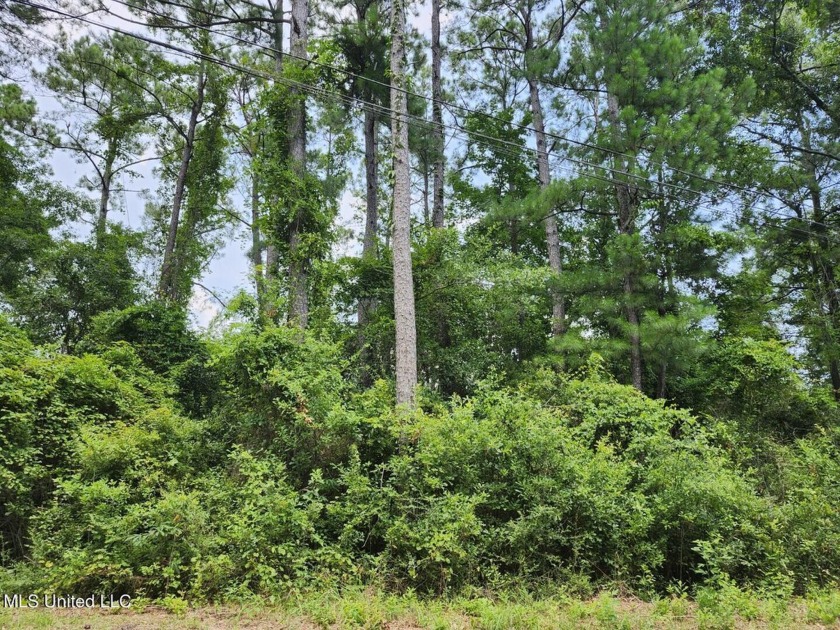 TWO WATERFRONT LOTS JUST MINUTES TO THE GULF!  Located in South - Beach Lot for sale in Gautier, Mississippi on Beachhouse.com