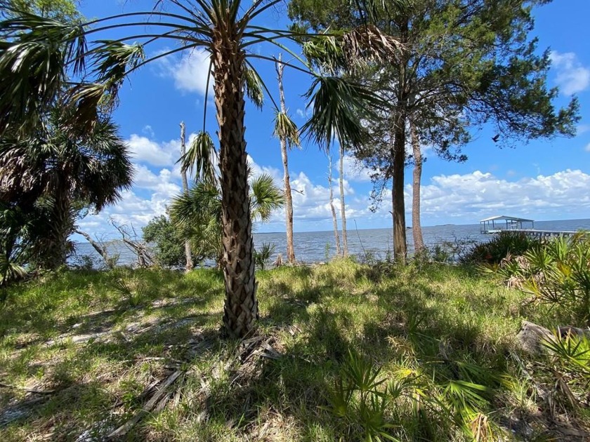 Seize this rare opportunity to own an exclusive GULF FRONT lot - Beach Lot for sale in Cedar Key, Florida on Beachhouse.com