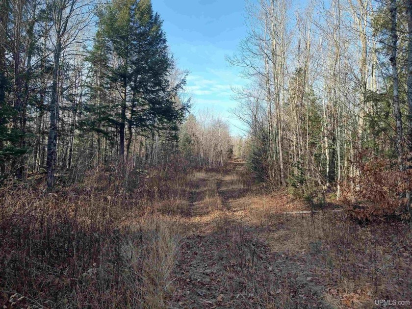 MICHIGAN'S UPPER PENINSULA - WOODED 240-ACRE RECREATIONAL PARCEL - Beach Acreage for sale in Deerton, Michigan on Beachhouse.com