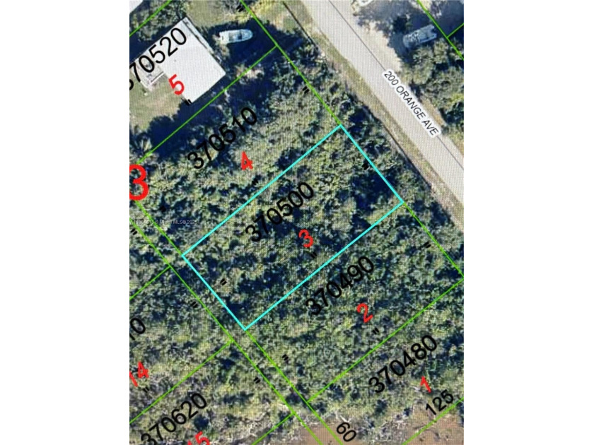 Quiet Neighborhood in Grassy Key with utilities at the road. Buy - Beach Lot for sale in Marathon, Florida on Beachhouse.com