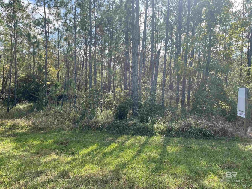 5.7 ACRES 450' OF INCREDIBLE EXPOSURE TO FOLEY BEACH EXPRESS! - Beach Acreage for sale in Foley, Alabama on Beachhouse.com