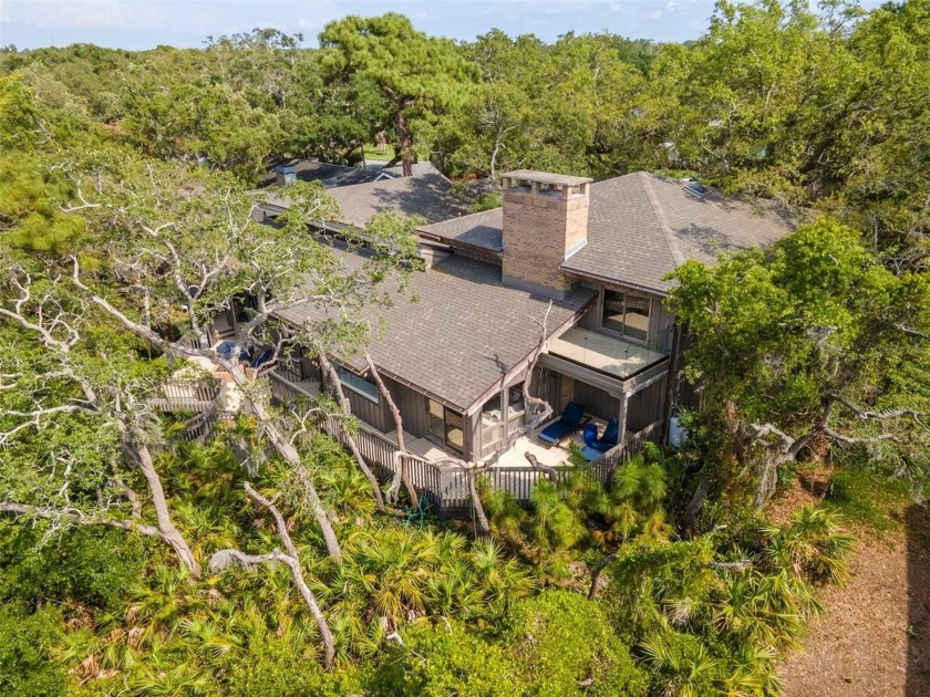 Completely renovated and tucked high into a lush, private - Beach Home for sale in Dunedin, Florida on Beachhouse.com