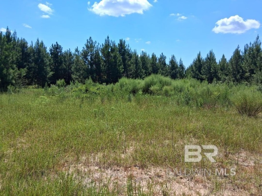 Awesome find on a 3 acre unrestricted parcel in the north part - Beach Acreage for sale in Robertsdale, Alabama on Beachhouse.com