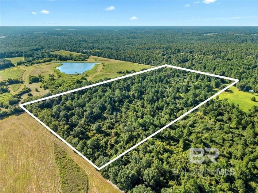 20.4 Acres ready for your vision! Discover the perfect canvas - Beach Acreage for sale in Elberta, Alabama on Beachhouse.com