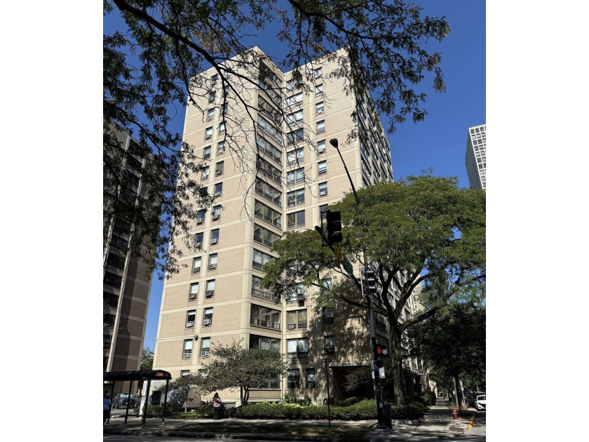 This is an AMAZING price for a FULLY RENOVATED mid-century unit - Beach Home for sale in Chicago, Illinois on Beachhouse.com