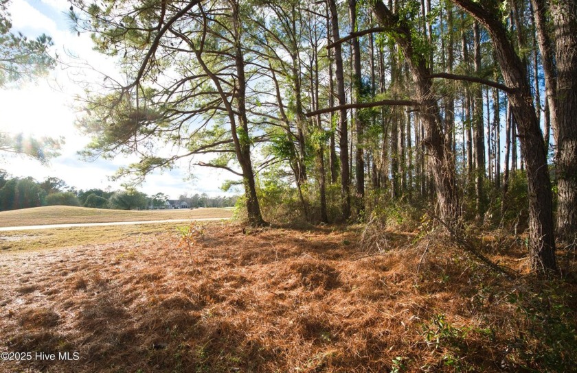 Welcome to this exceptional lot for sale in the prestigious - Beach Lot for sale in Calabash, North Carolina on Beachhouse.com